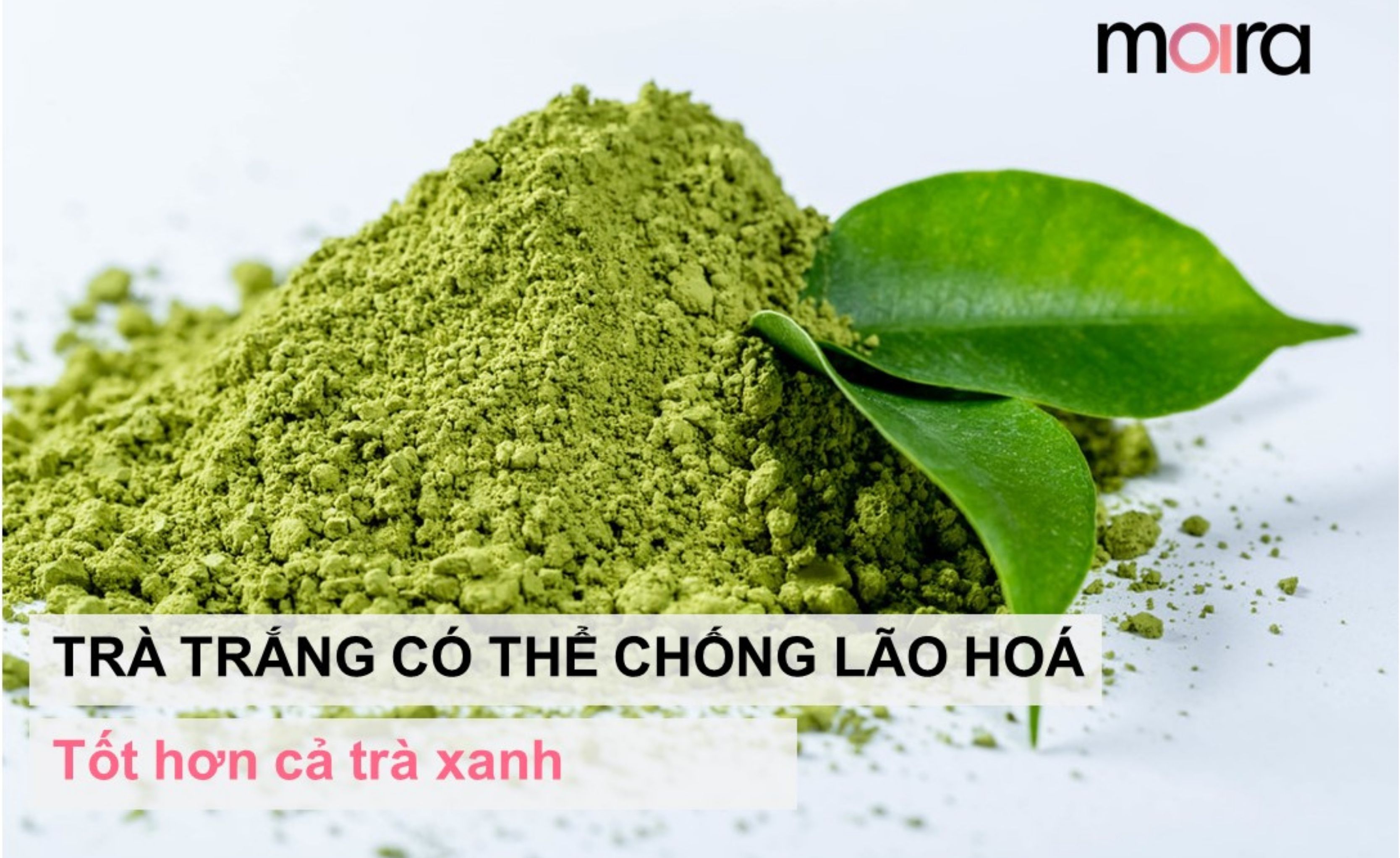 Trà trắng có thể chống lão hoá tốt hơn cả trà xanh, vì sao lại như vậy??